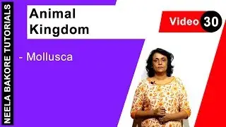 Mollusca | Animal Kingdom | NEET & Class 11 CBSE Board |  Neela Bakore Tutorials