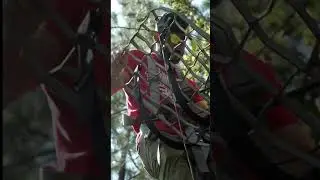 It’s time. #archery #deer #archerylife #bowhunting #outdoors