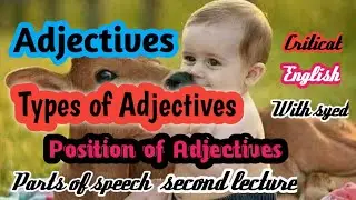 Adjective | Types of Adjective |  Position of adjective | With Best Examples.
