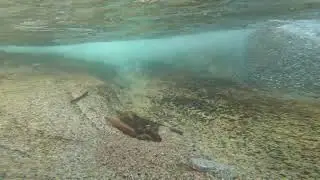 KUMRAT | WATERFALL | 4K GOPRO | UNDERWATER
