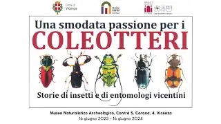 Mostra “Una smodata passione per i coleotteri: storie di insetti e di entomologi vicentini”