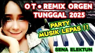 OT REMIX ORGEN TUNGGAL 2025 || PARTY MUSIK LEPAS ! ! !