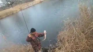 Озеро ямное Мизайловка