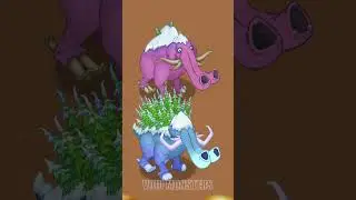 All TUSKSKI Comparison 