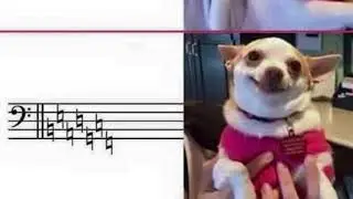 Bach Well Tempered Workout
