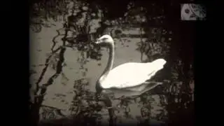 Харьков 1979год. В зоопарке