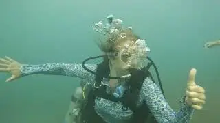 Live Dive in Rincon, Puerto Rico