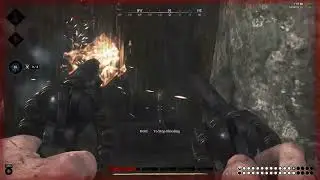 Solo 3K - Freddy steals the gator bounty