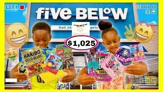 ANYTHING YOU CAN CARRY I’LL BUY CHALLENGE | SHOPPING SPREE *THEY BOUGHT TOYS* 