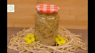 Conserva de Broto de Feijão (Compacto) - Chef Ana Lemgruber (2022)