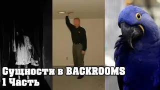 Какие есть сущности в Закулисье?