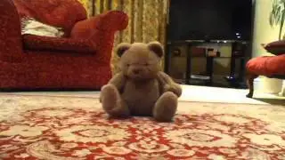 Teddy Bear Crushed To Death!