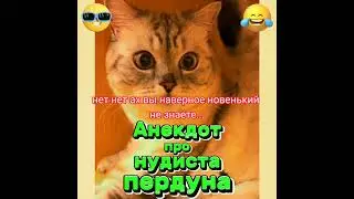 Анекдот про нудиста пердуна. 