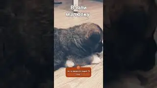 Наша маленькая девочка.