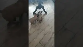 29 сентября 2019 г.