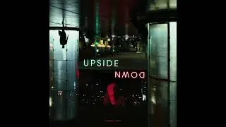 Theresa Zanon - Upside Down
