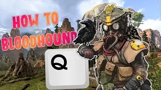 How to press Q I 2021 Bloodhound guide