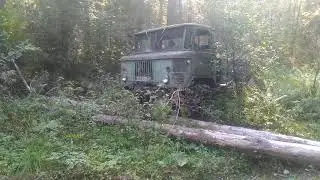 Шишига на бездорожье.