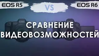 Canon EOS R5 и R6. Сравнение видеовозможностей - общее и различия