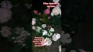 Собрала заказы на магазин