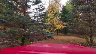 Just Leaf Me Alone!