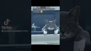Серьёзный настрой перед экзаменом 