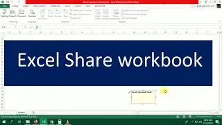 Excel Share workbook option