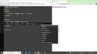 Add Image in your Website | HTML | CSS | WEBSITE | IMAGE TAG  | img tag