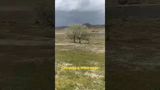 Это место любят все: от туристов до буддистов. Река Или.