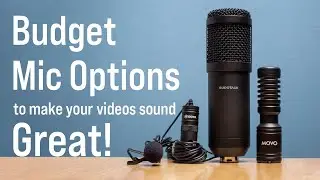 Budget Mic Options