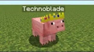 Thank you.Technoblade