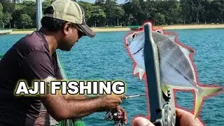Aji Fishing At Bedok Jetty