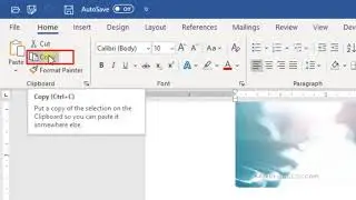 How to Cut, Copy &  Paste in Microsoft Word 2019