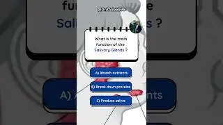 What’s the main function of the Salivary glands ? #draadeeb