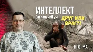 Интеллект (маленький ум) — друг или враг?!