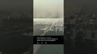 #папич