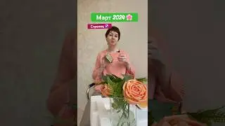 Стрелец гороскоп на март 2024 года #гороскоп #стрелецгороскоп #еленасаламандра