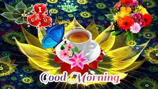 Good Morning Status Video WhatsApp Status Video Good Morning 22/10/2022