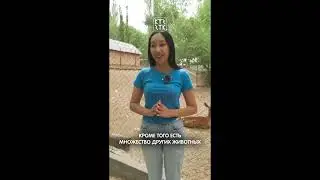 Ыссык коль