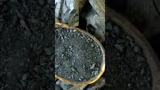 Unlocking the Secrets of Biochar: From Ancient Techniques to Modern Pyrolysis