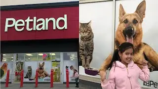Petland in Calgary