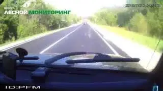 Видео с инспекторского видеорегистратора.