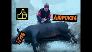 №15 ЗАБОЙ СВИНОМАТКИ!!!/УВЕЗЛИ МЯСО НА КОЛБАСУ-КОПЧЕНИЕ!!!
