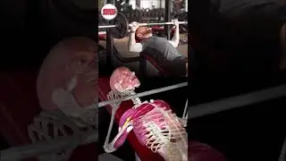 Incline Bench Press