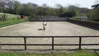 Interdressage Jenny Lee Collacott Ben 9A April