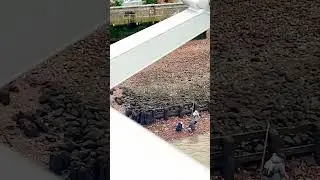 London..what are the people doing on the banks on River Thames..picking shells😇