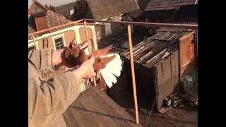 12 января пос новоэкономическое ПЕТР ФЕДОРОВИЧ