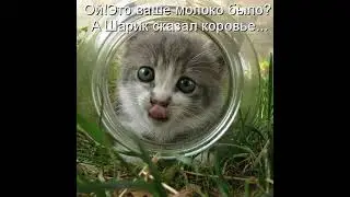 стрим играем дуэли и оцениваем мувики