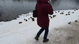 Гатчинский парк-заповедник, один из красивейших парков Ленинградской области. 4 января 2021.