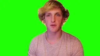 What Cryptozoo Apology Should Have Looked Like Apology Green Screen